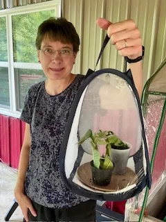 Historical Society open, notes talk on butterflies Saturday